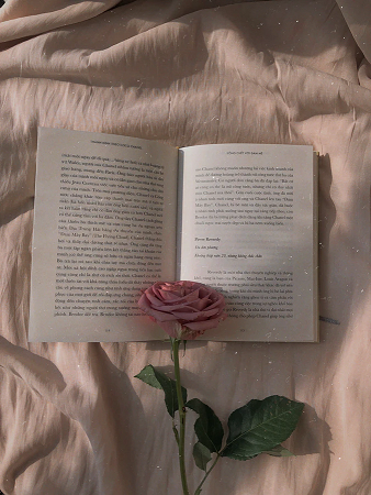 Pink rose on open book